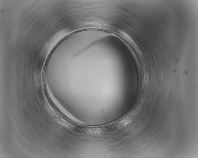 X0000053121291200508012142