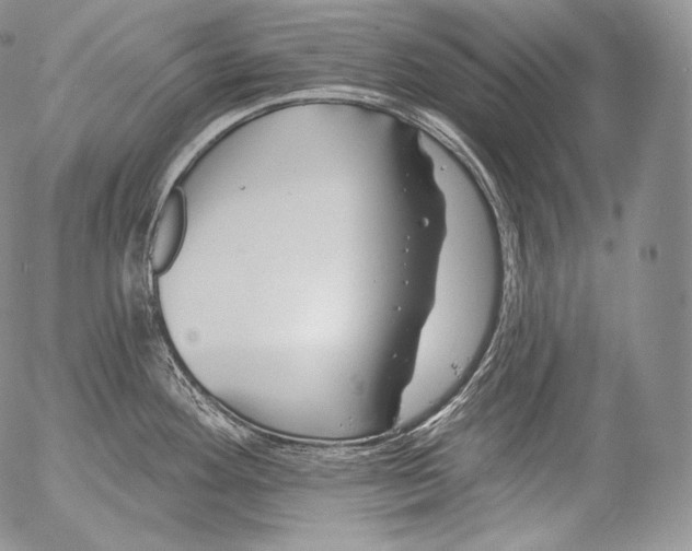 X0000053121292200508012142