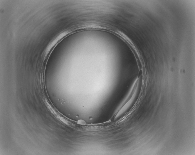 X0000053121293200508012142