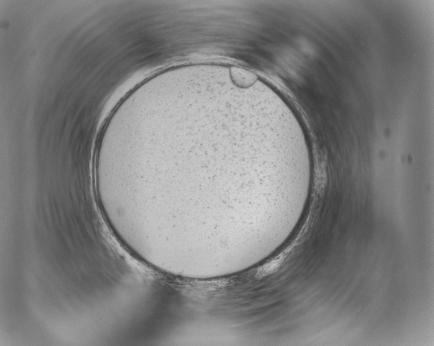 X0000053121294200508012142