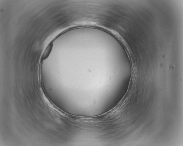 X0000053121295200508012142