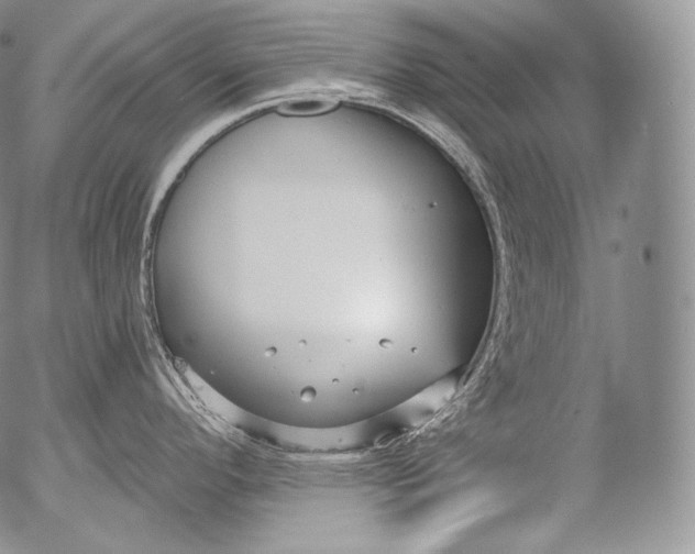 X0000053121296200508012142