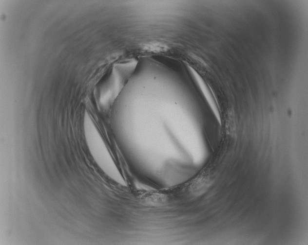 X0000053121298200508012141