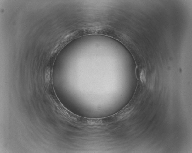 X0000053121299200508012141