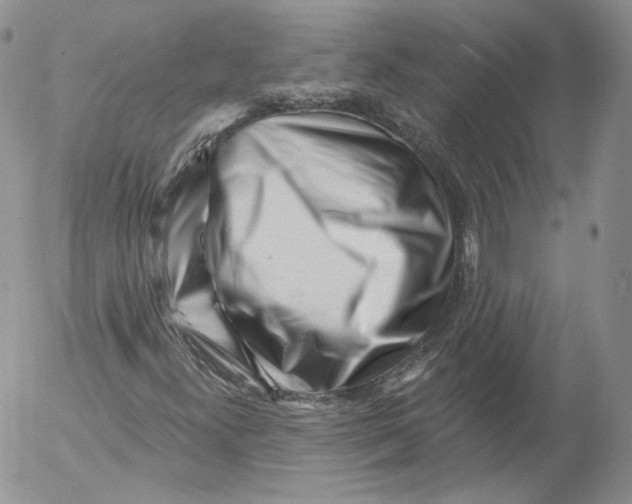 X0000053121300200508012141