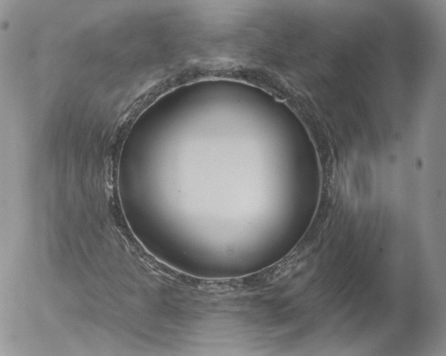 X0000053121301200508012141