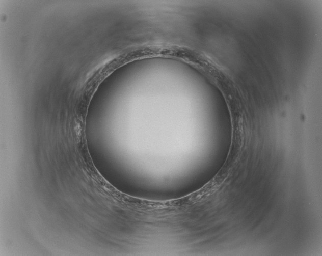 X0000053121302200508012141