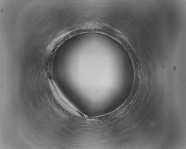 X0000053121304200508012141