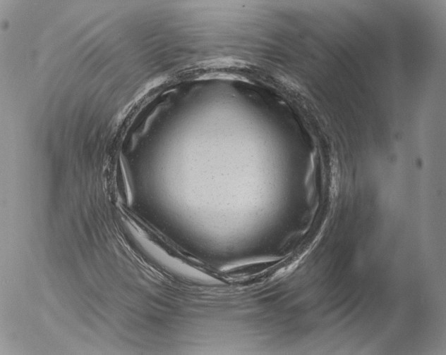 X0000053121305200508012141