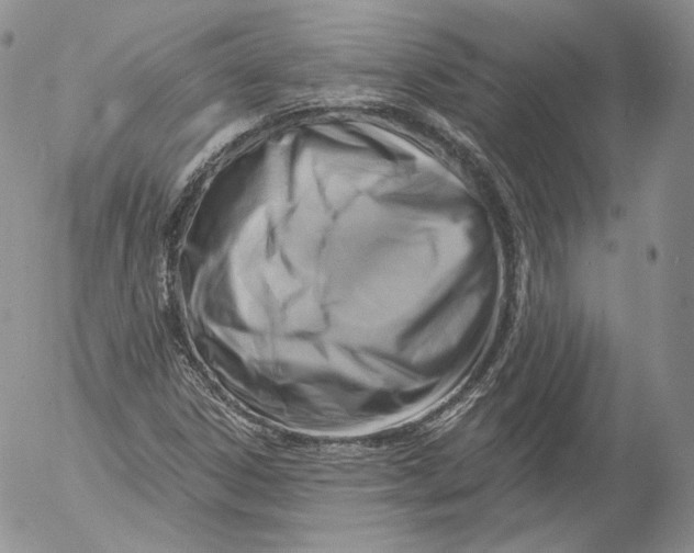 X0000053121306200508012141