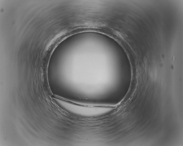 X0000053121307200508012141