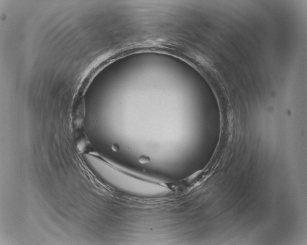 X0000053121308200508012141