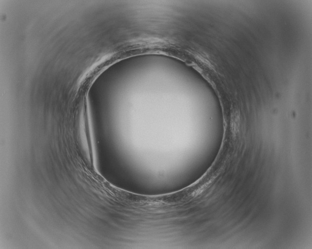 X0000053121309200508012141