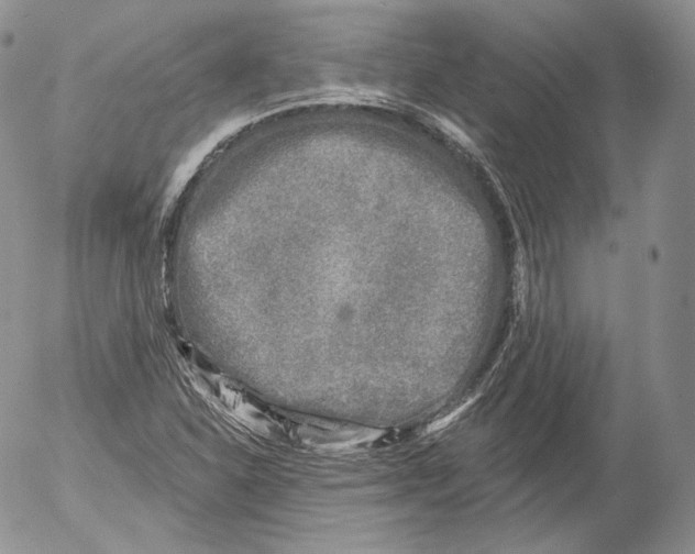 X0000053121310200508012141