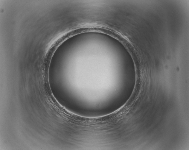 X0000053121311200508012141