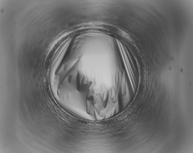 X0000053121312200508012141