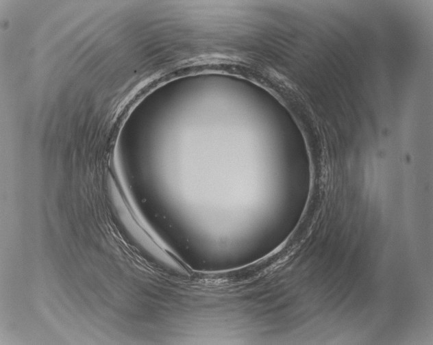 X0000053121313200508012141