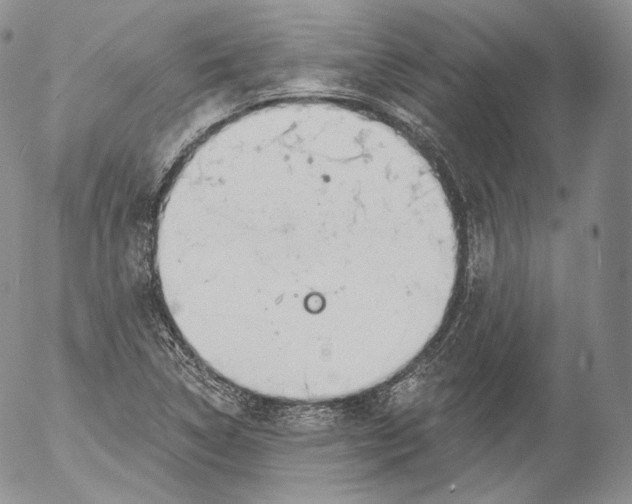 X0000053121314200508012141