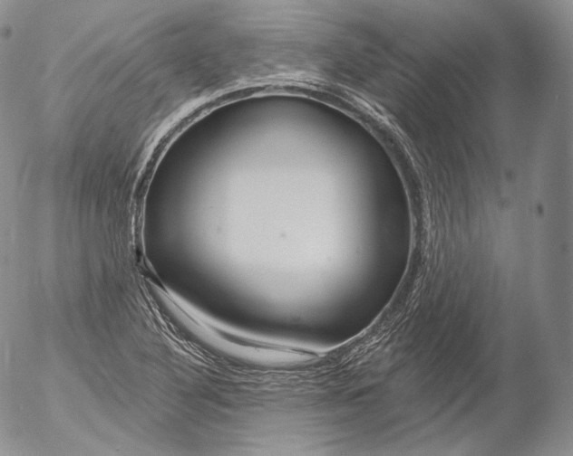 X0000053121316200508012141