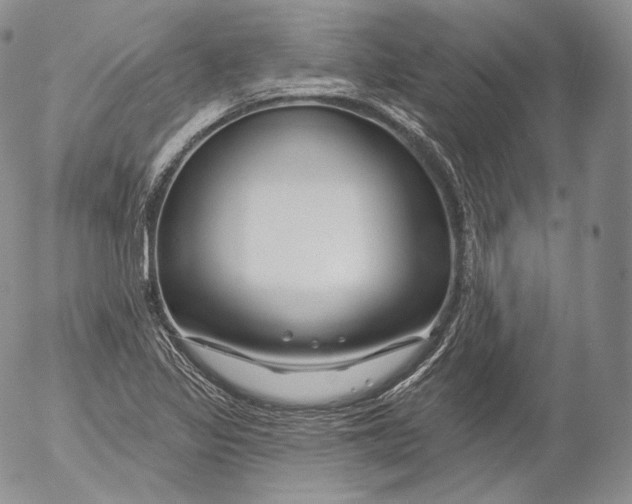 X0000053121317200508012141