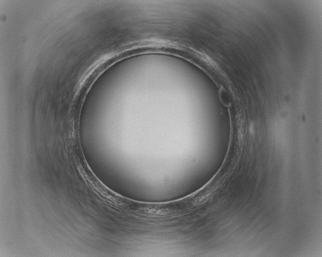 X0000053121318200508012141