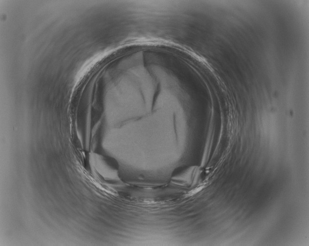 X0000053121319200508012141