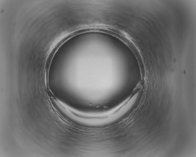 X0000053121320200508012141