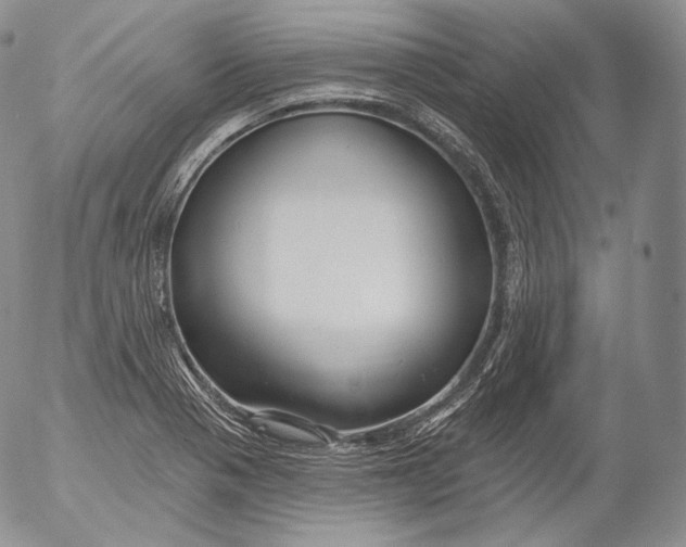 X0000053121321200508012141