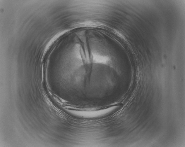 X0000053121323200508012141