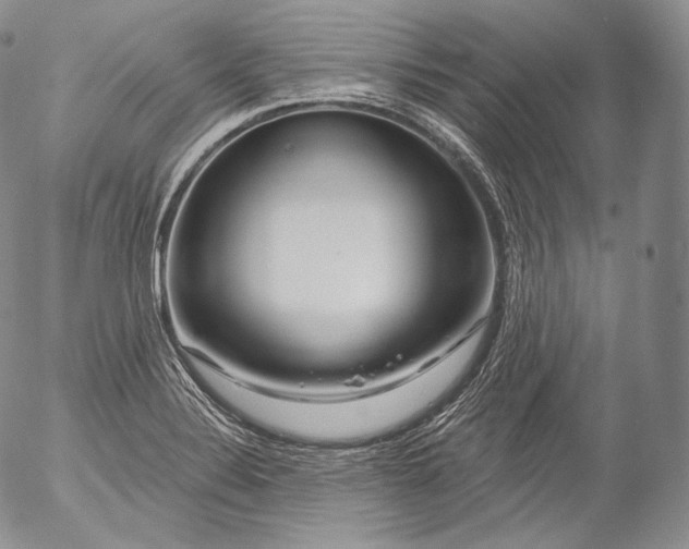 X0000053121324200508012141