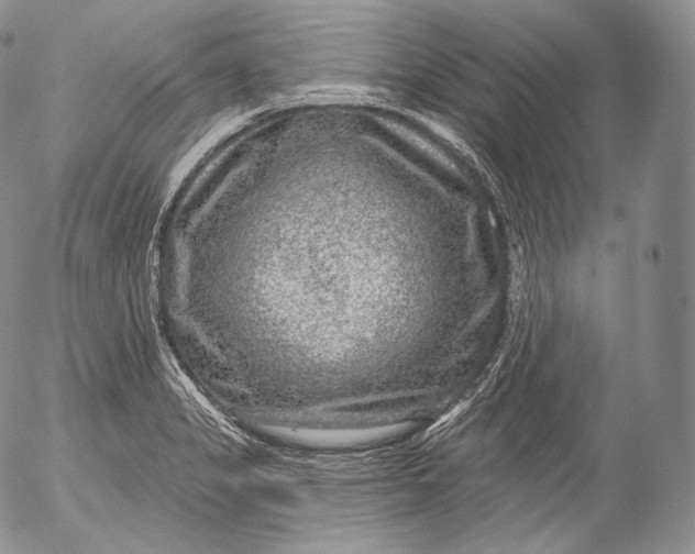 X0000053121325200508012141