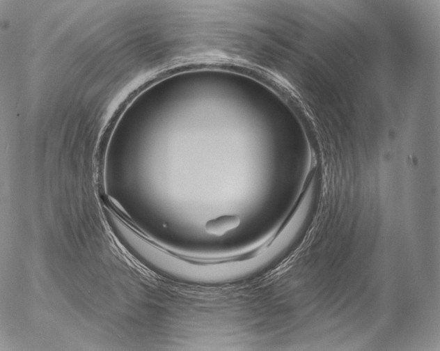 X0000053121326200508012141