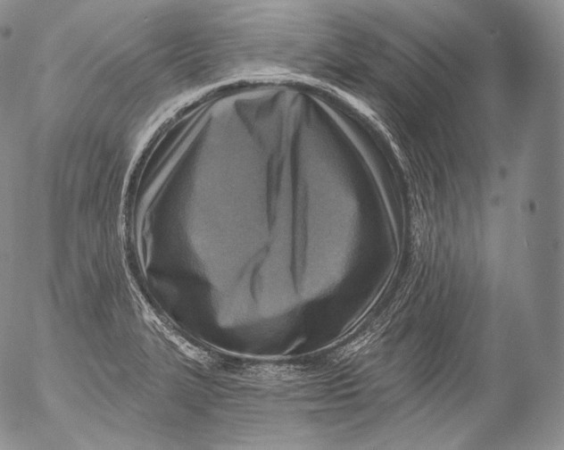 X0000053121327200508012141