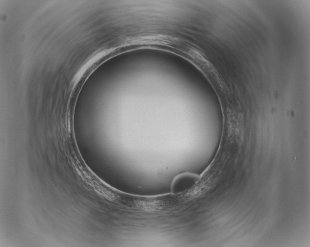 X0000053121328200508012141