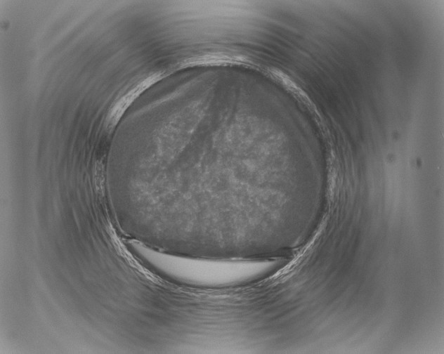 X0000053121329200508012141