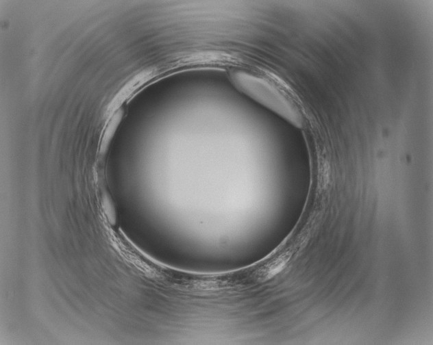 X0000053121330200508012141