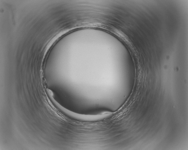 X0000053121332200508012141