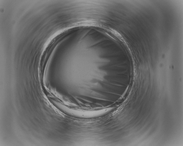 X0000053121334200508012141