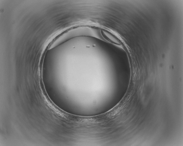 X0000053121335200508012141