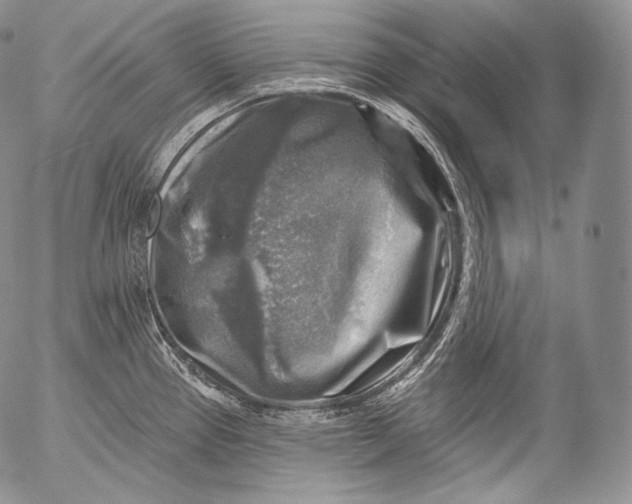 X0000053121337200508012141