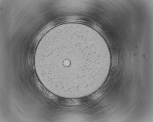 X0000053121338200508012141