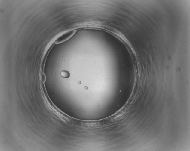 X0000053121339200508012141