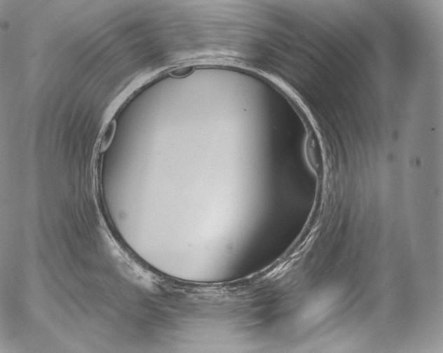 X0000053121341200508012141