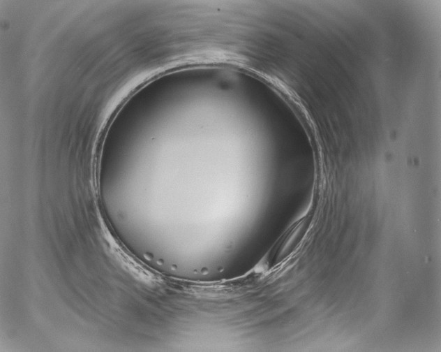 X0000053121342200508012141