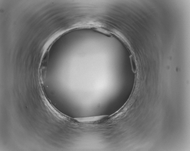 X0000053121344200508012141