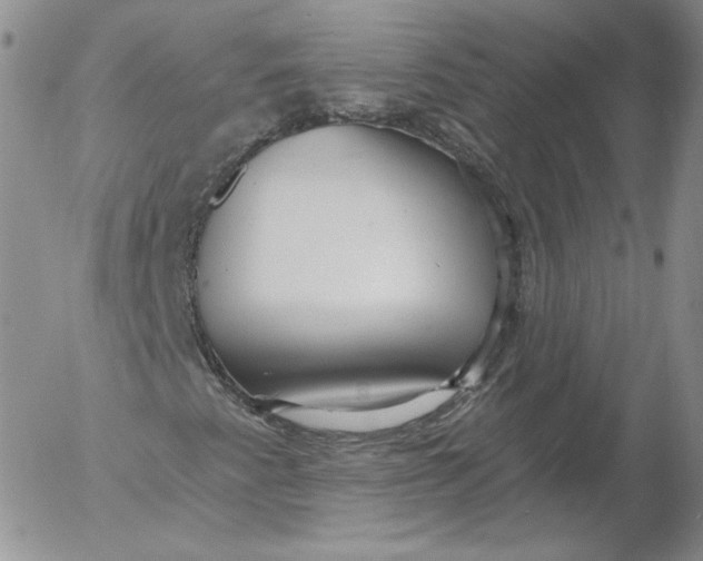 X0000053121345200508012141