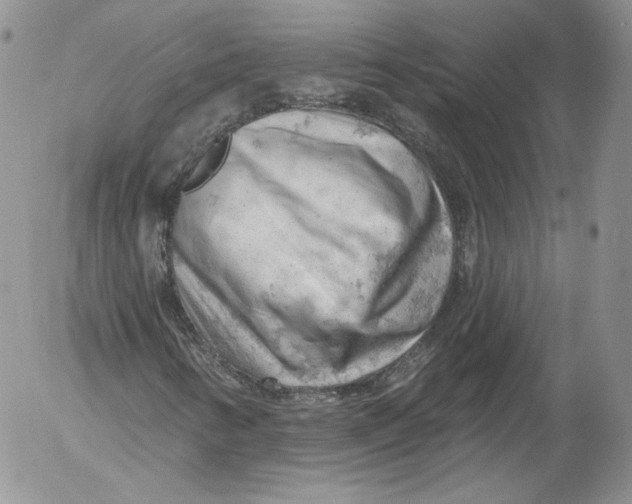 X0000053121346200508012141