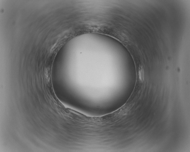 X0000053121347200508012141