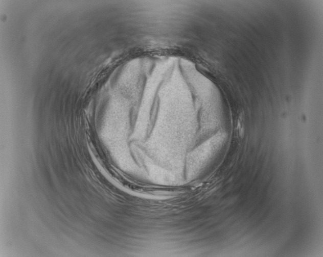 X0000053121348200508012141