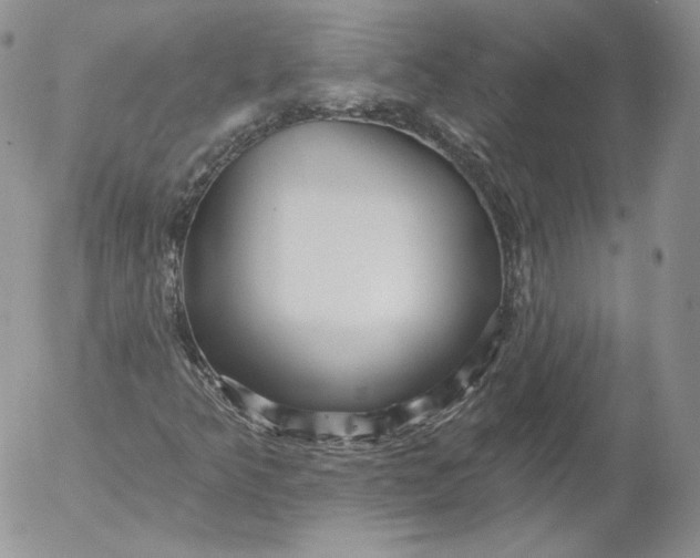 X0000053121349200508012141